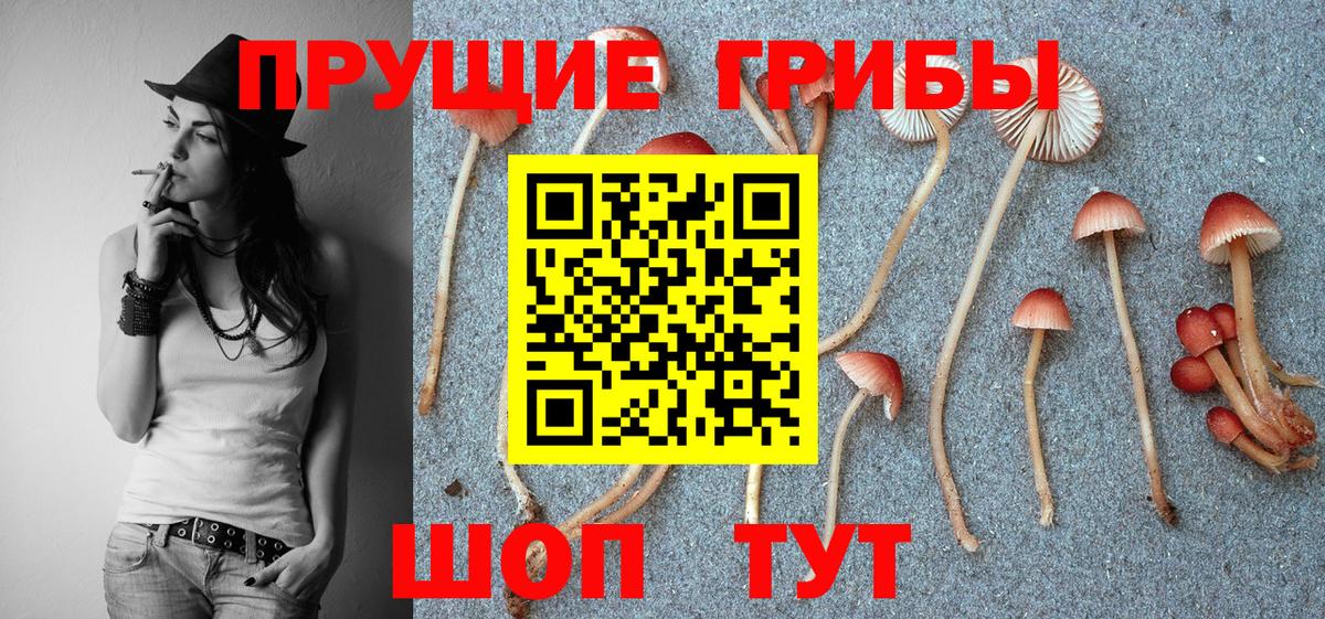 Галлюциногенные грибы Psilocybine cubensis  Вход с VPN  Железноводск  Псилоцибиновые грибы ЛСД 