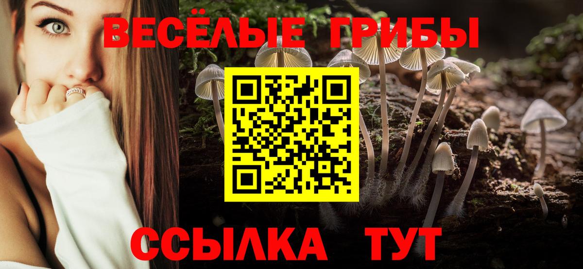 Псилоцибиновые грибы мухоморы Железноводск